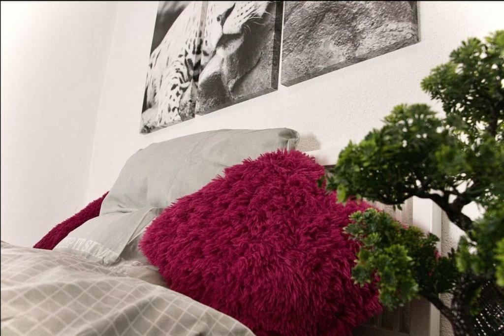 Modern Holiday Home Near Rheinfall And Black Forest Weisweil  Luaran gambar