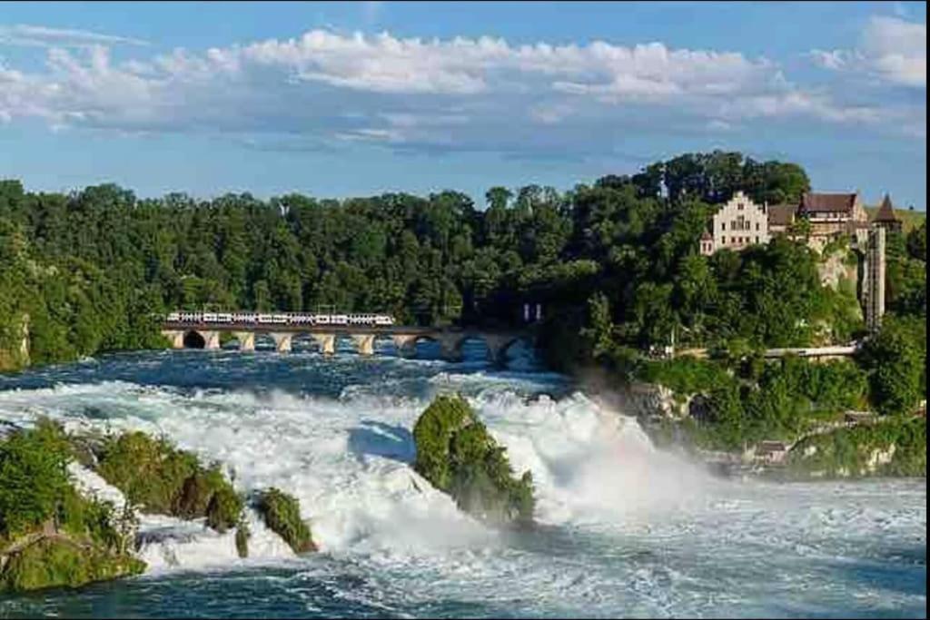 Modern Holiday Home Near Rheinfall And Black Forest Weisweil  Luaran gambar